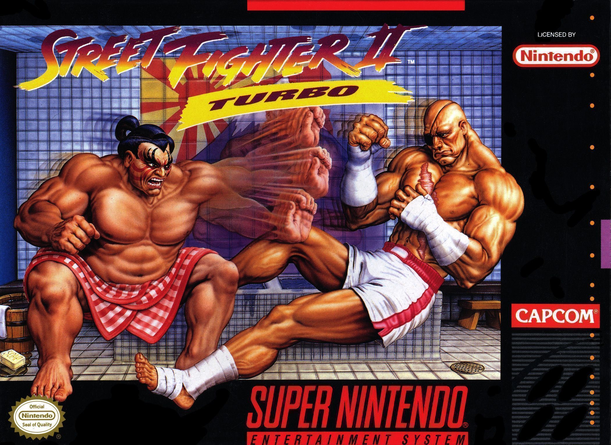 Street Fighter II Carnage (Hack) (USA) Game Cover